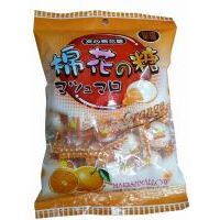 �����r�ȊA���޻���/100��