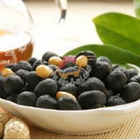 ��������ζ��̿����170��